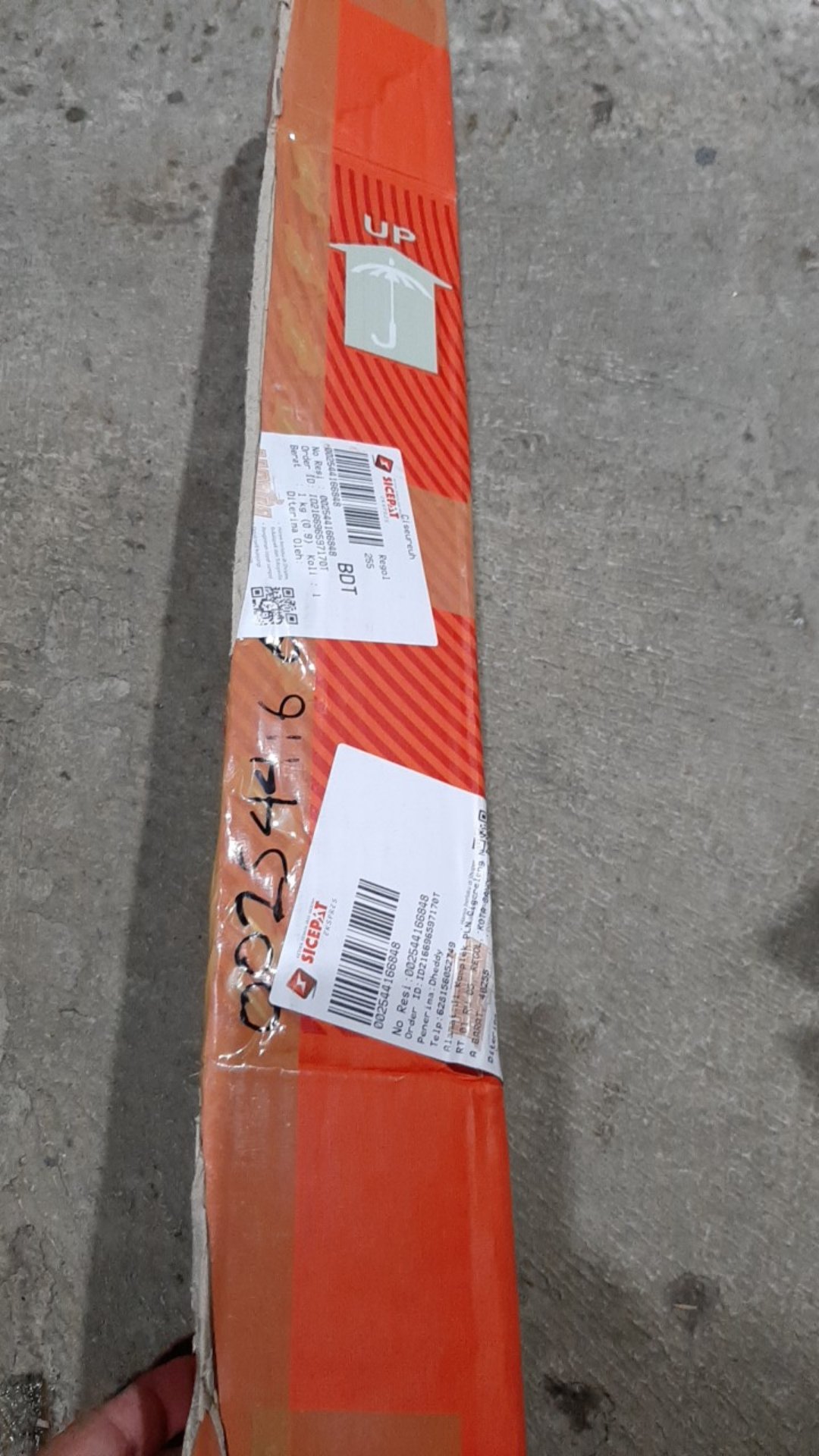 Bibit Anggur Taldun Valid