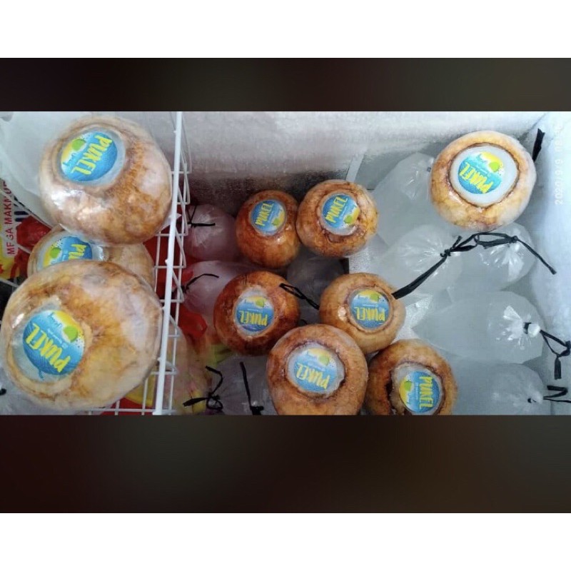 

PUDING KELAPA (PUKEL) PUDING DARI AIR KELAPA ASLI (GRAB/GOJEK)