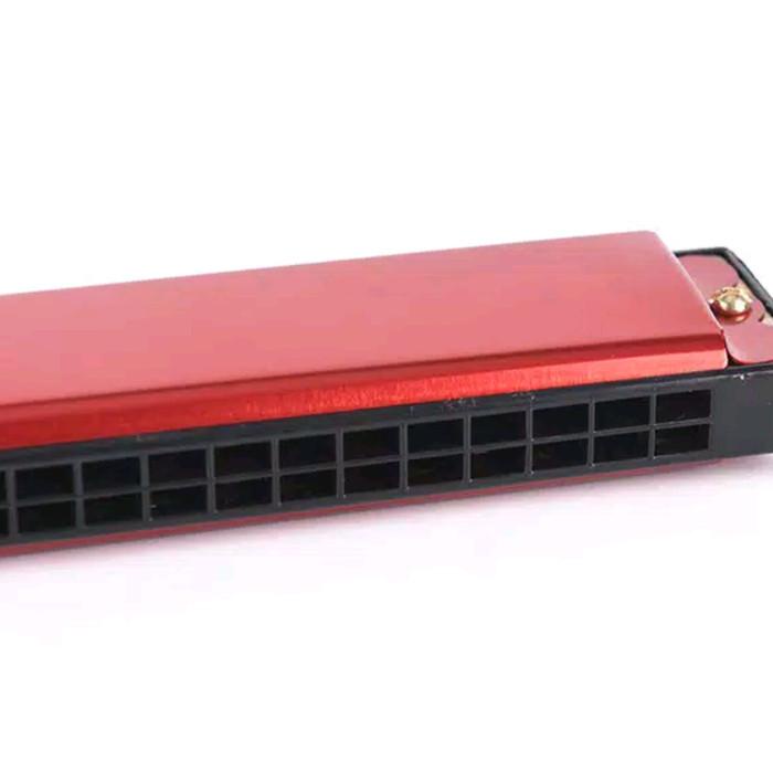 Harmonica/ harmonika tremolo 24 lubang Kualitas Terbaik