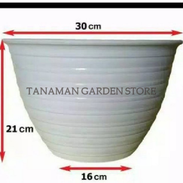 POT Tawon 30 cm