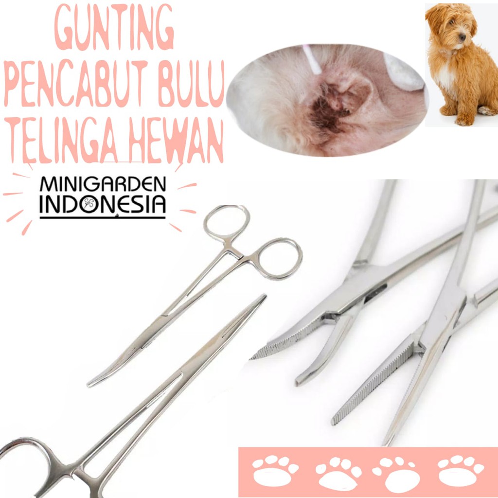 GUNTING PENCABUT PEMBERSIH BULU TELINGA ANJING Kucing Stainless Steel pet scissor catut grooming
