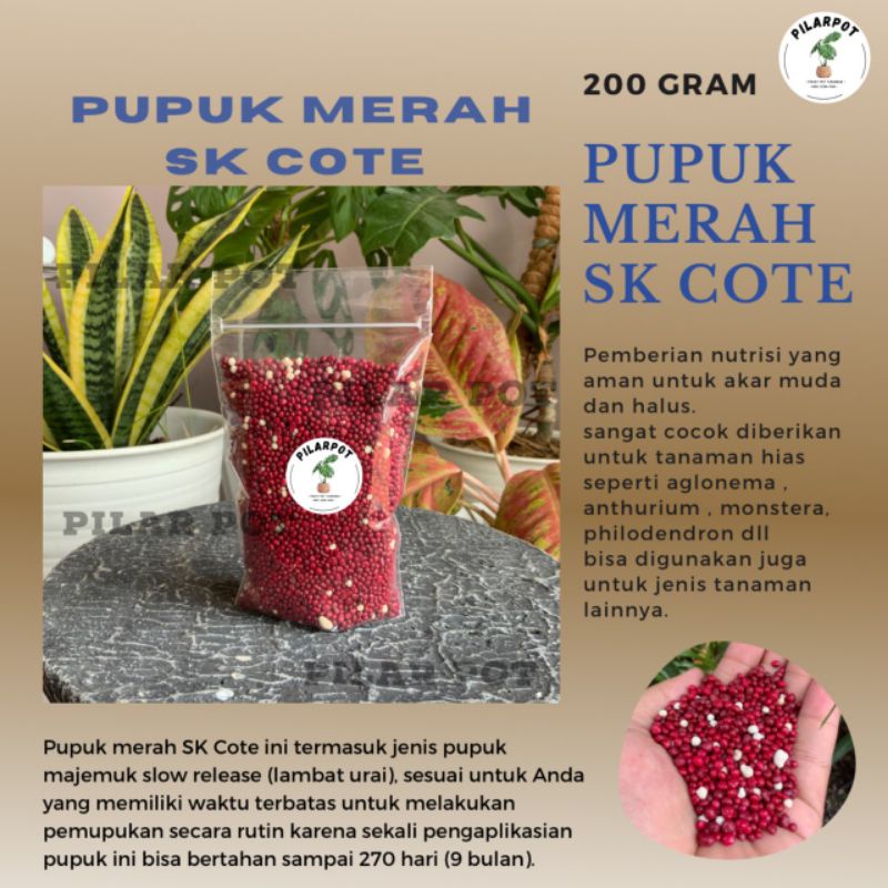 PUPUK MERAH SLOW RELEASE SK COTE PRECISE 19-10-13+2.5Mg0+TE 200 GRAM - REPACK SK COTE