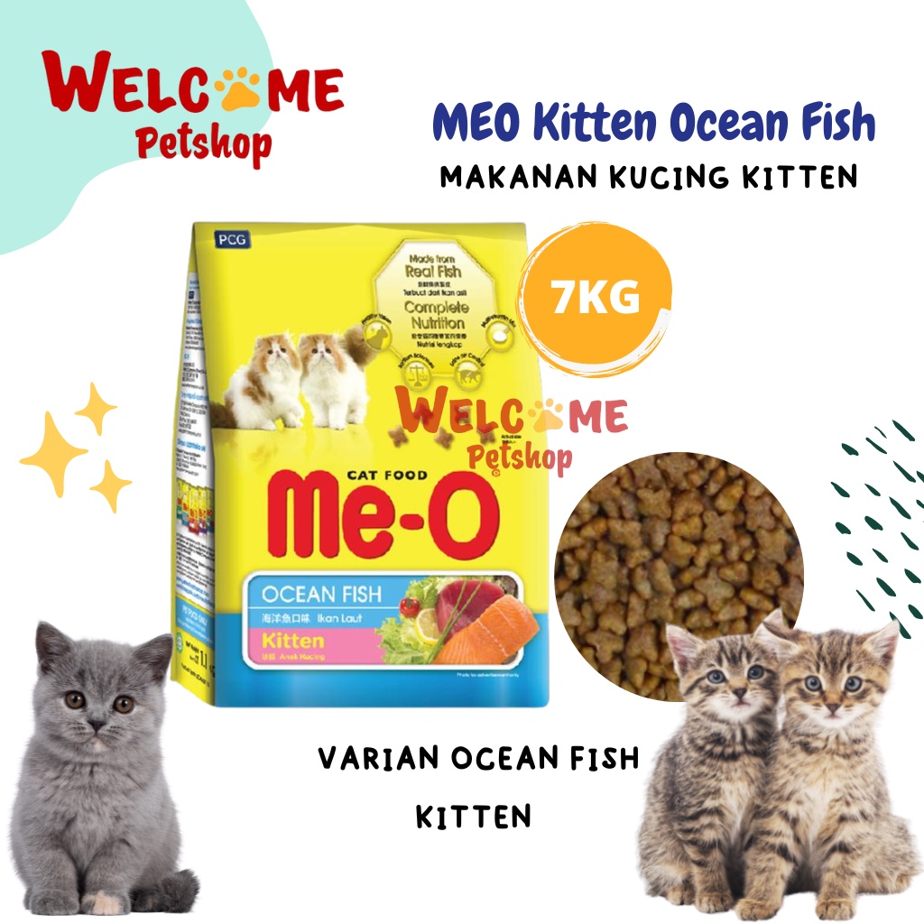 GOJEK GRAB Meo 7kg Kitten Ocean Fish Makanan Anak Kucing Pakan Kitten