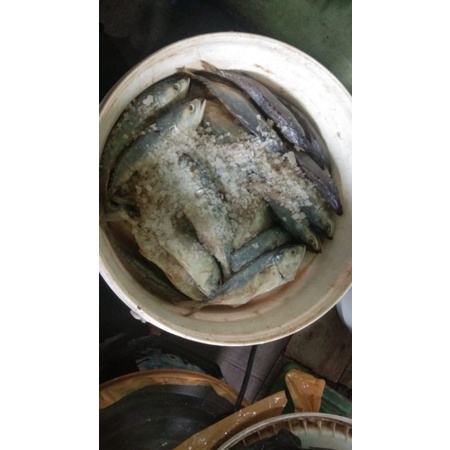 

Ikan Asin Pedak Kembung
