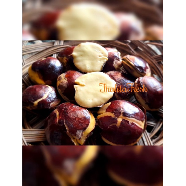 

Jengkol / jengkol segar 250gram