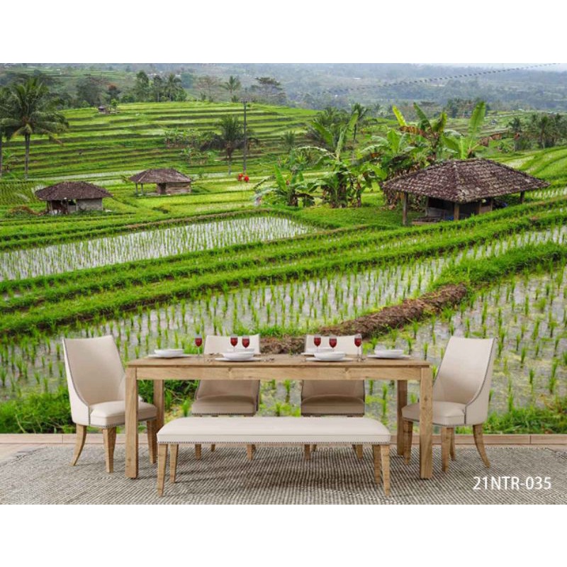 Wallpaper Dinding 3D Custom Pemandangan Sawah Hijau (21NTR-035)