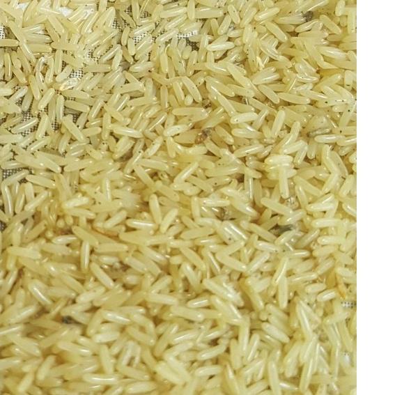 

Diskon Telur jangkrik Alam 100gr | Termurah | Terbaik | Original