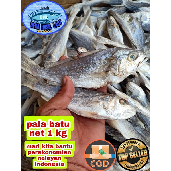 

Ikan asin pala batu 1 kg