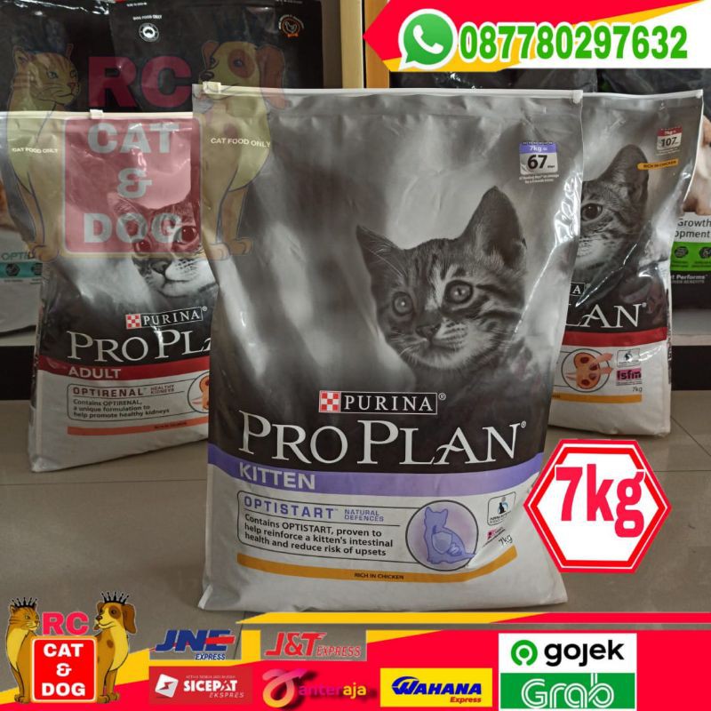 ProPlan kitten Chiken formula 8kg | makanan kucing anakan purina catfood