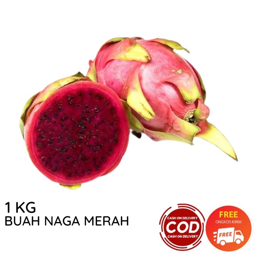 BUAH NAGA MERAH