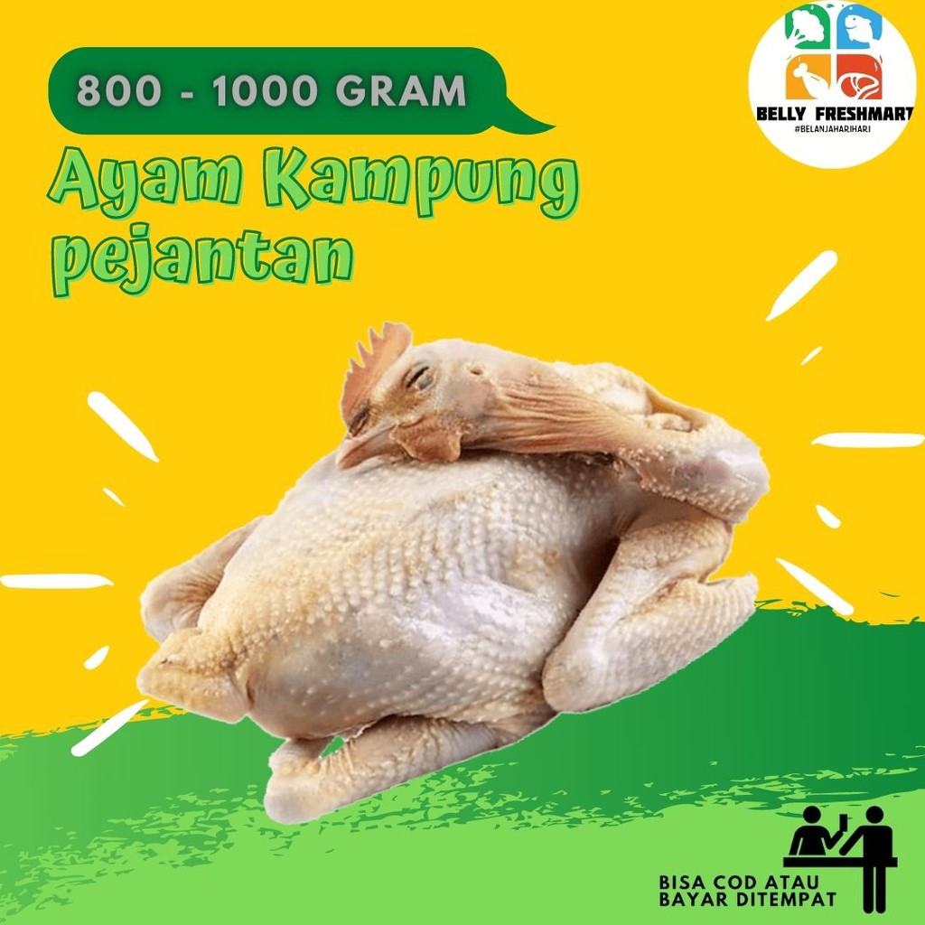 

Ayam Kampung Pejantan Asli 1000 Gram Bahan Masakan Daging Ayam Segar Siap Masak
