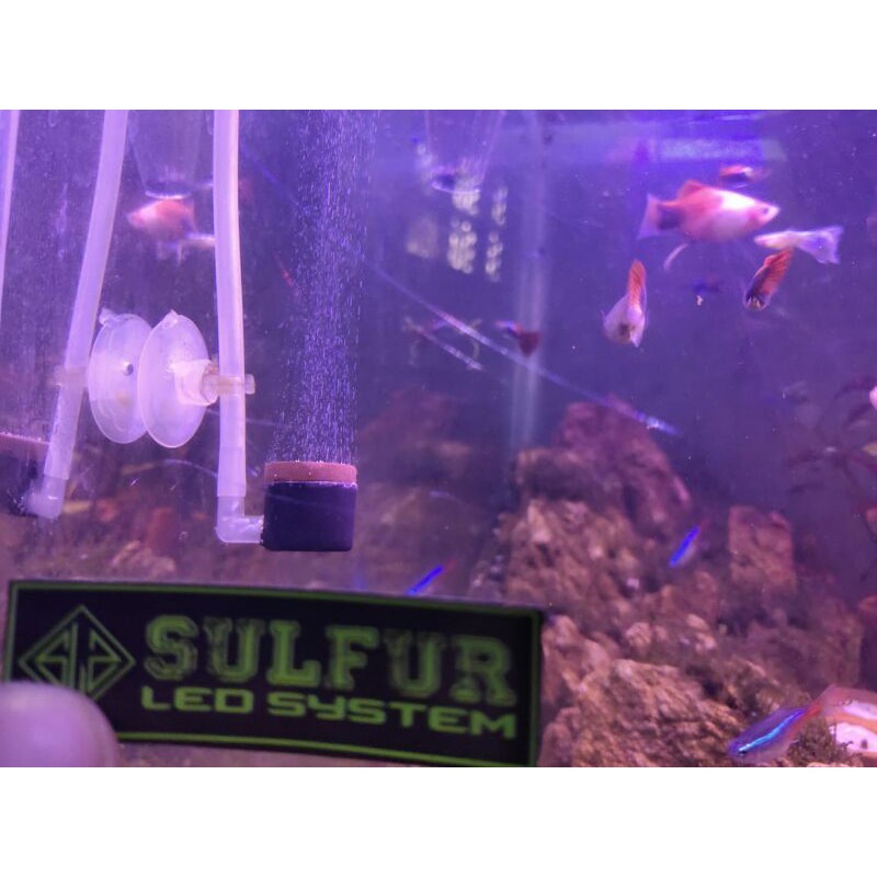 Diffuser CO2 DIY Aquascape