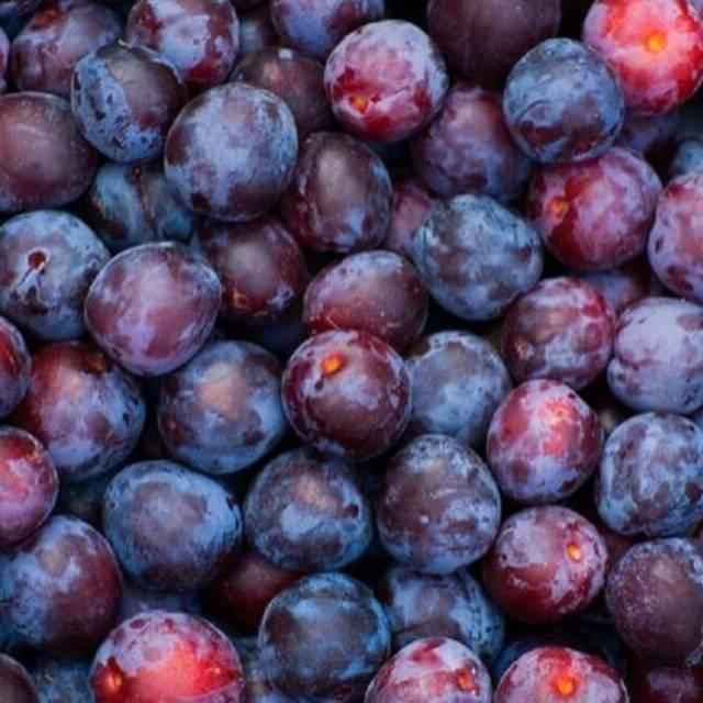 

PLUM BABY MERAH / BUAH DIET 500GRAM