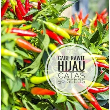 Cabe Rawit Hijau Lokal Catas 50 Biji (Benih Bibit Biji Tanaman Sayur Sayuran)