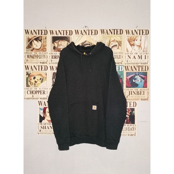 Hoodie CARHATT BASIC Second Brand