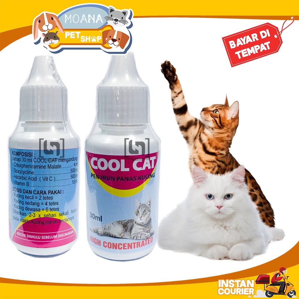 OBAT PENURUN PANAS KUCING SAKIT DEMAM BACTERI VIRUS COOL CAT