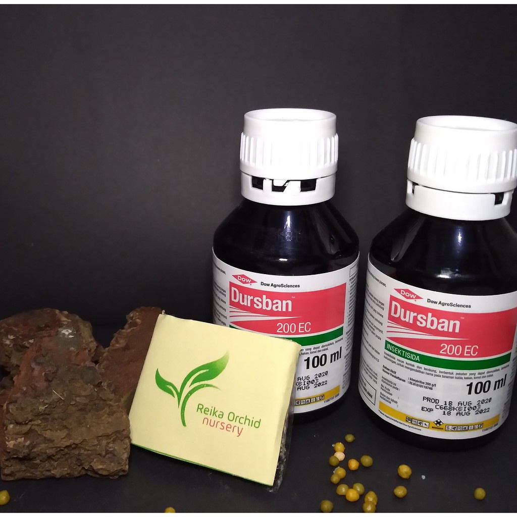 Insectisida Dursban 100ml