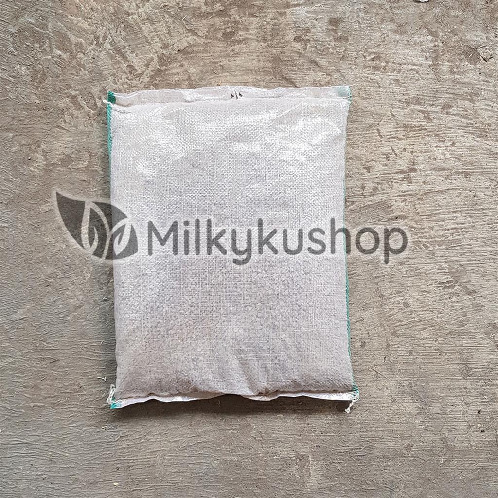 BATU APUNG KECIL - PUMICE STONE AQUARIUM FILTER