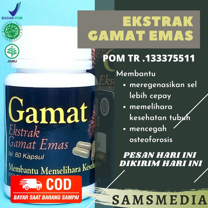 Kapsul Ekstrak Gamat Neosyifa isi 60 | Obat Nyeri Sendi | Gamat Original BPOM - Samsmedia