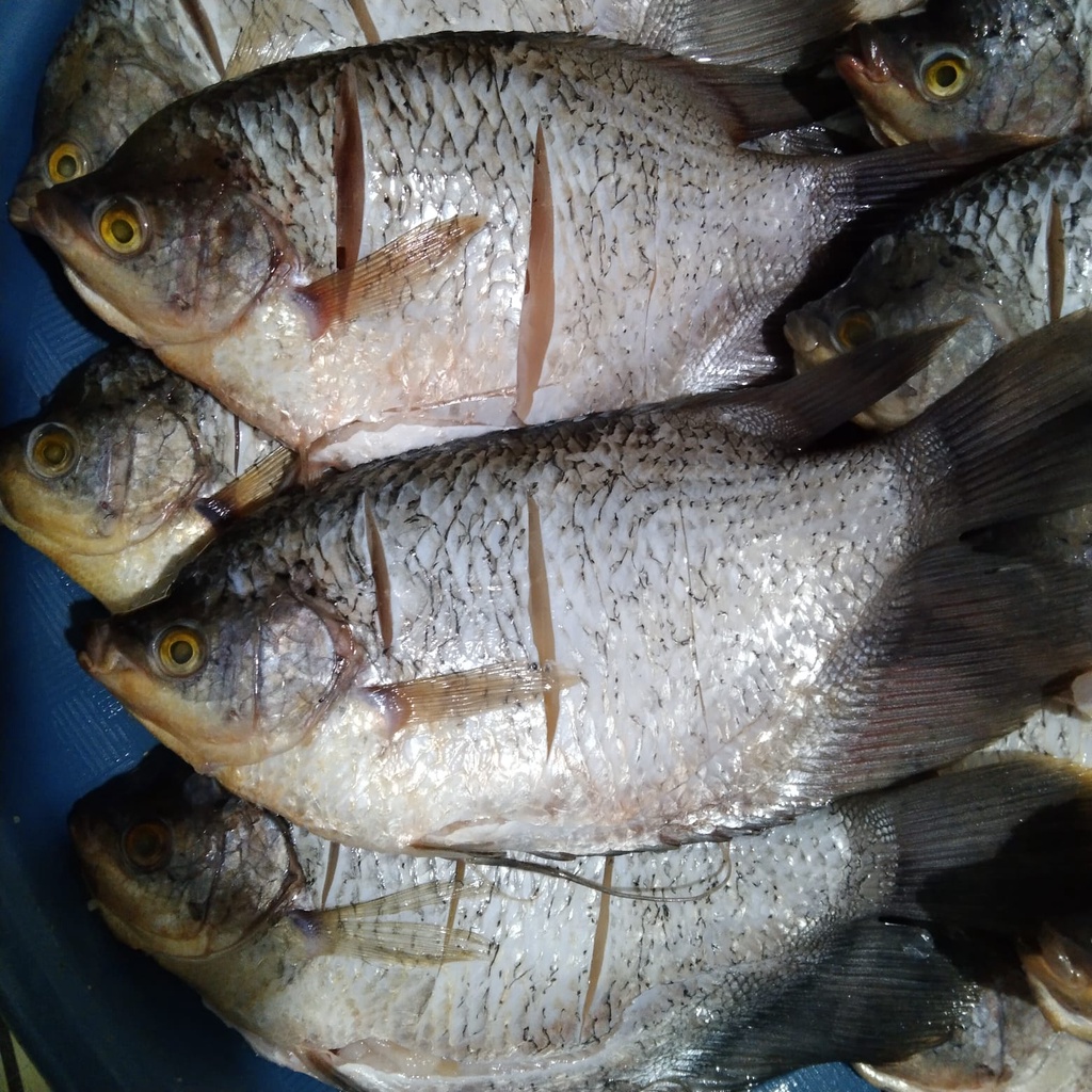 

Gurame Super Fresh (Beku) 500gr
