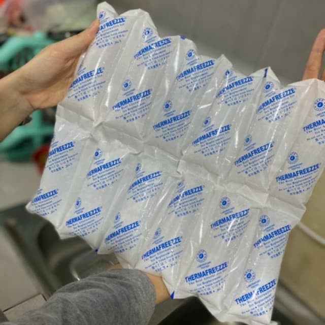 Thermafreeze Dry Ice Pack Therma Freeze Gel Lembaran Pendingin Ganti Es