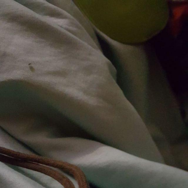 Flat Bottom Padat Super 250 Wz - Valve 120gr Kemasan Kopi