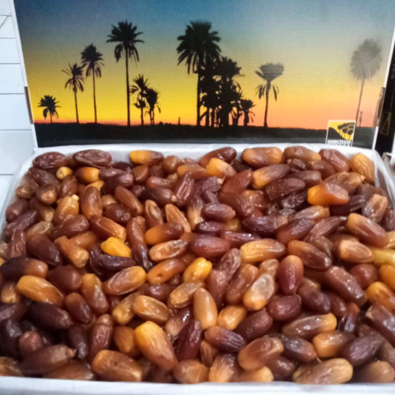 kurma palm fruit madu 5 kg