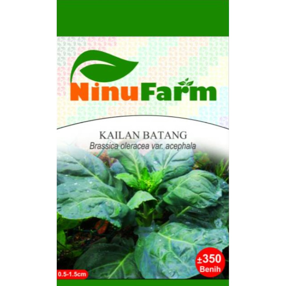 Jual Benih Bibit Sayur Kailan Batang Ninufarm Butir Indonesia