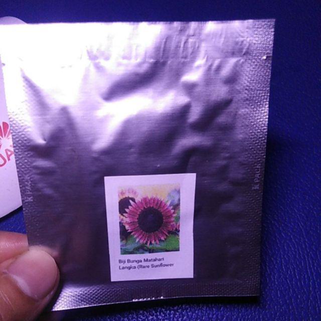 Biji Bunga Matahari Langka Rare Sunflower Seeds Shopee Indonesia