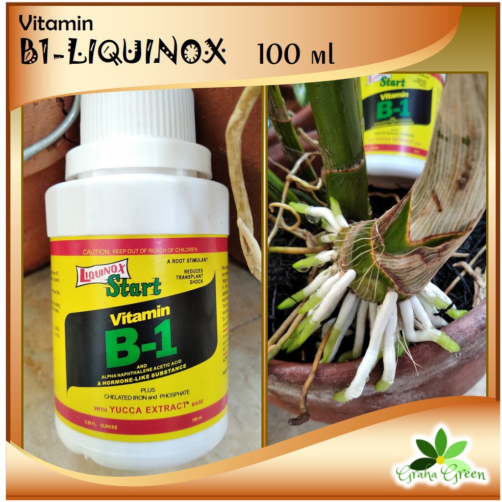 Jual Vitamin B1 Liquinox 100 Ml Pupuk Tanaman | Shopee Indonesia