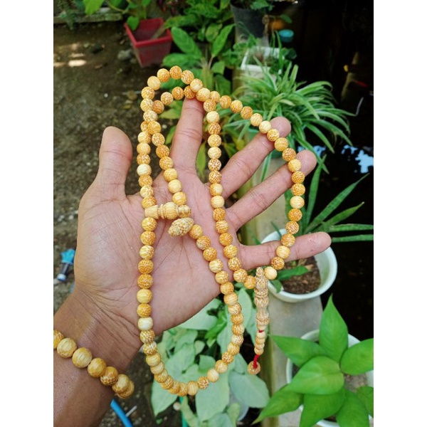 tasbih kayu liwung macan putih tembus cahaya 8 mm