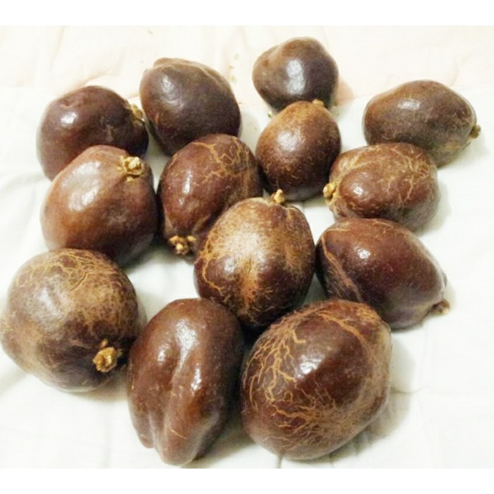 Buah Zuriat Mesir / Doum Original 1 Kg Harga Grosir FREE Testpack Original