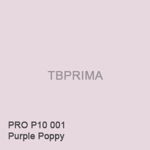 Cat Tembok Avitex Exterior Tinting 5kg PRO P10 001 (Purple Poppy)