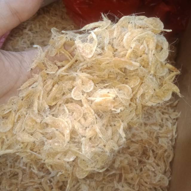 

Rebon asin kemasan 500gr