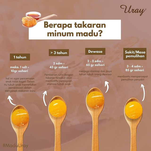 MADU URAY ASLI MURNI 330ML / 450GR | MADU HUTAN NUTRISI NATURAL HONEY