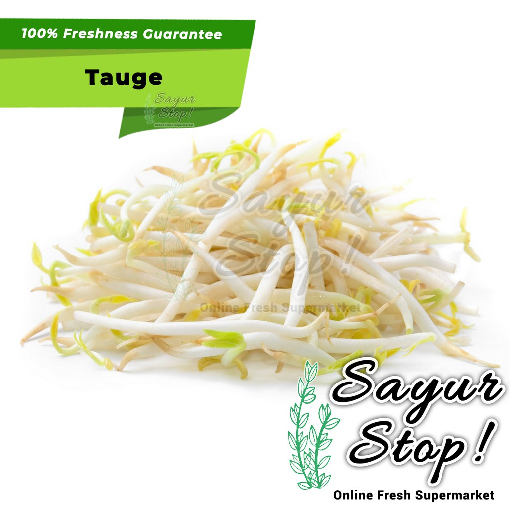 

Sayur Stop Tauge / Toge / Beansprout 250 gram