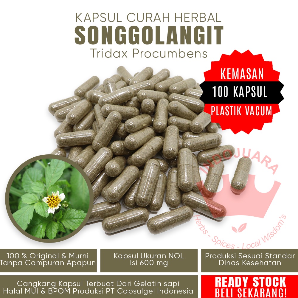 100 Kapsul SONGGOLANGIT Herbal Kaya Mineral Kalium Magnesium Kalsium