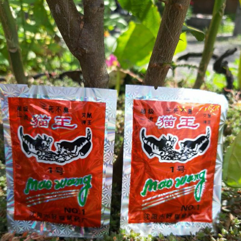 RACUN TIKUS MAO WANG HOLOGRAM ASLI