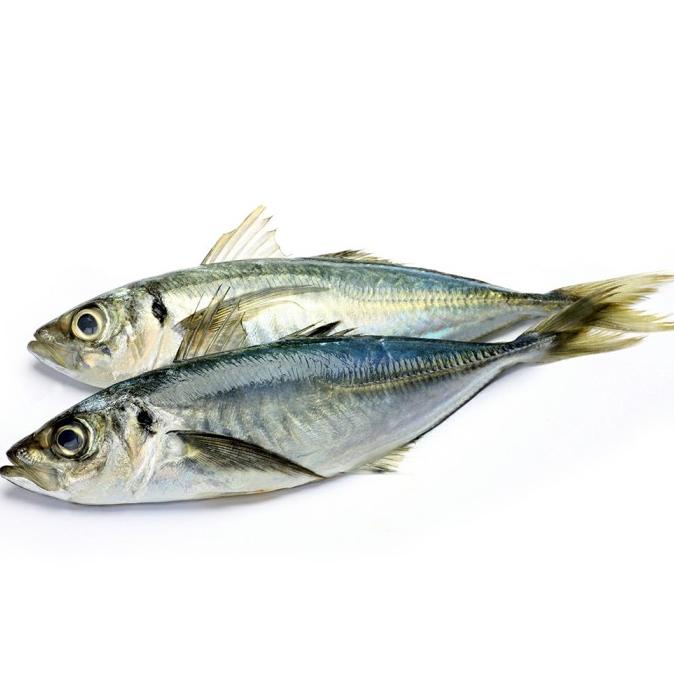

[COD] Ikan Layang 1000gram [COD]