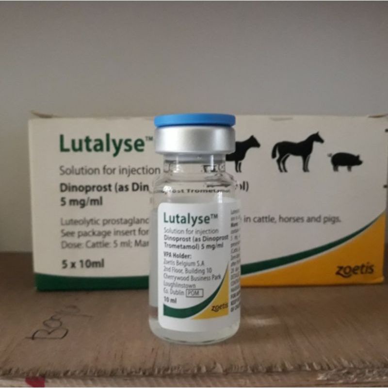LUTALYSE PGF2ALFA HORMON BIRAHI HEWAN ( Hormon penyerentakkan birahi pada sapi, babi, kambing dan ku
