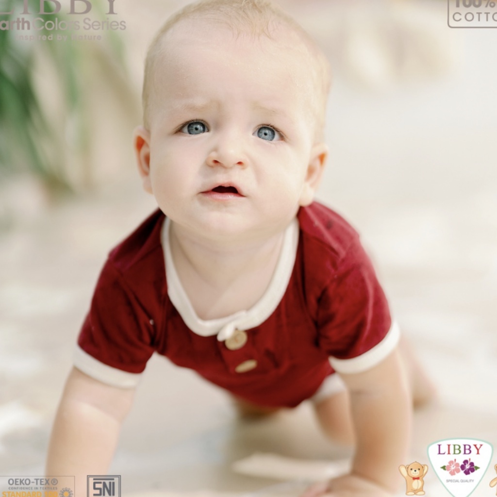 LIBBY Flynn Romper Earth Color Size 0-3|3-6|6-12 Bulan (1 pcs/pack)