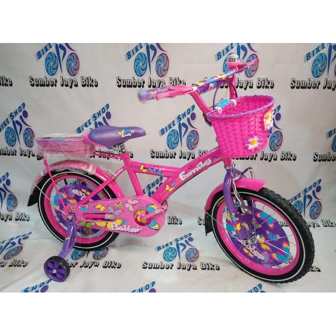 Sepeda Anak Mini 16 inch family Flubber