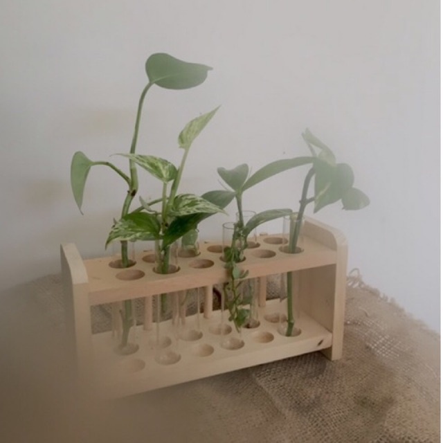 Christmas Hampers | Hampers Natal | Water Propagation Chemistry Set | BIRTHDAY GIFT WISUDA GIFT ROOM