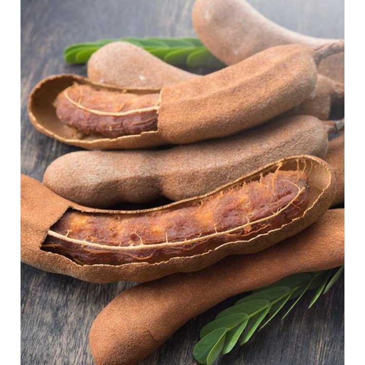 

ASAM JAWA fresh, petik sendiri, asli tanaman sendiri