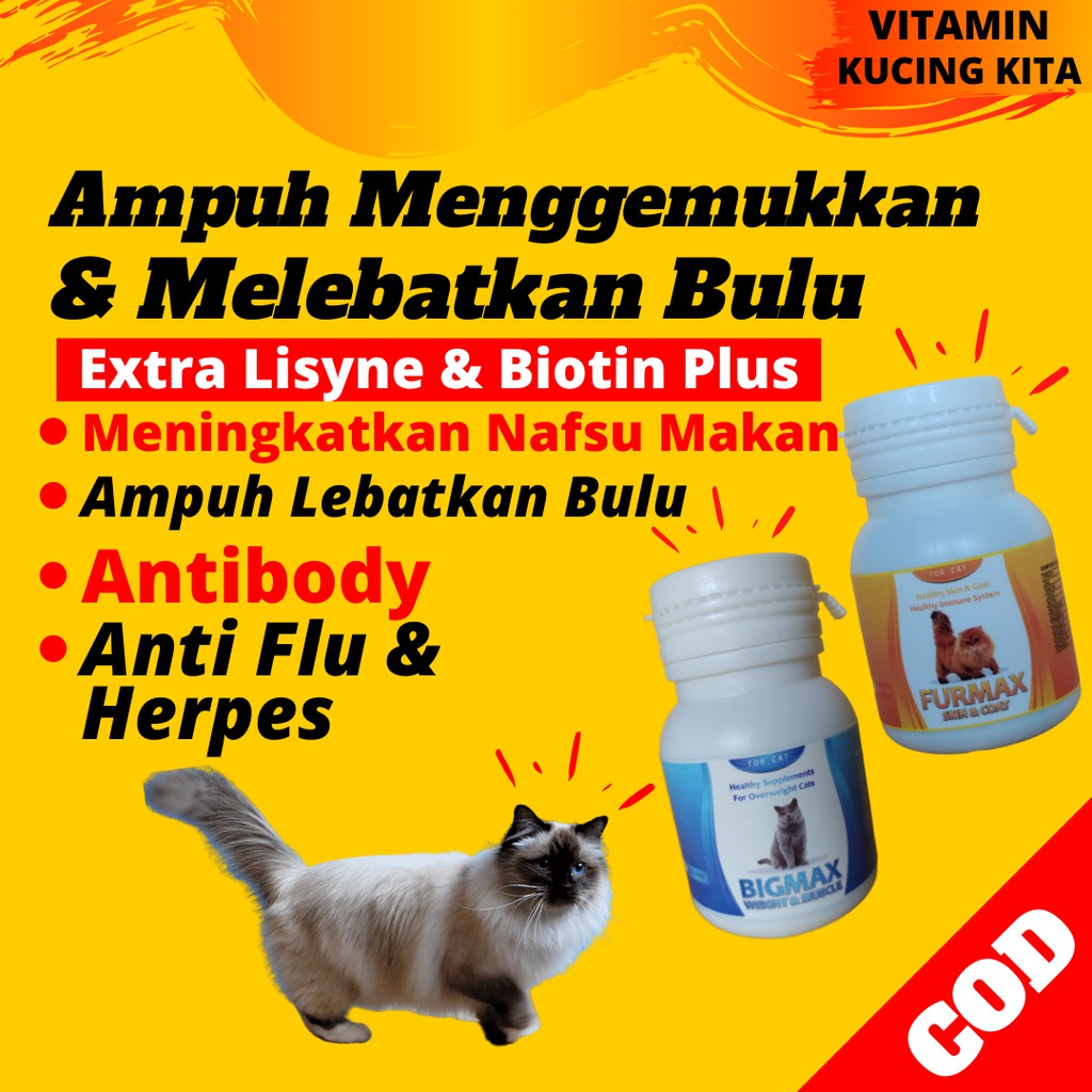 A1 Vitamin Bulu Kucing Penggemuk Kucing Vitamin Penumbuh Bulu Kucing Vitamin Gemuk Dan Bulu Kucing Shopee Indonesia