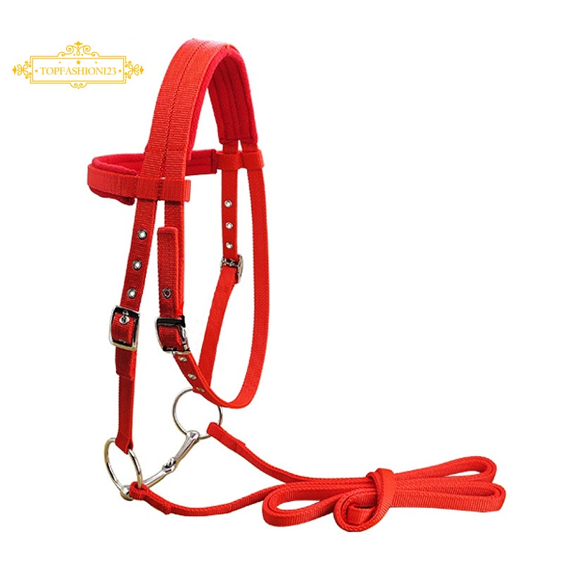 Adjustable Horse Riding Equipment Halter Horse Bridle With Bit