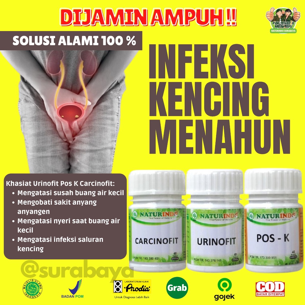 Obat Herbal Sulit Kencing Sakit Prostat Infeksi Saluran Kencing Anyang Anyangen Atasi Batu Ginjal Saluran Kemih Obat Kencing Batu kencing sakit Obat Gagal Ginjal Bocor Bengak Kencing Berbuih Berbusa Batu Spesialis Ginjal URINOFIT NATURINDO SURABAYA-INFEKSI MENAHUN