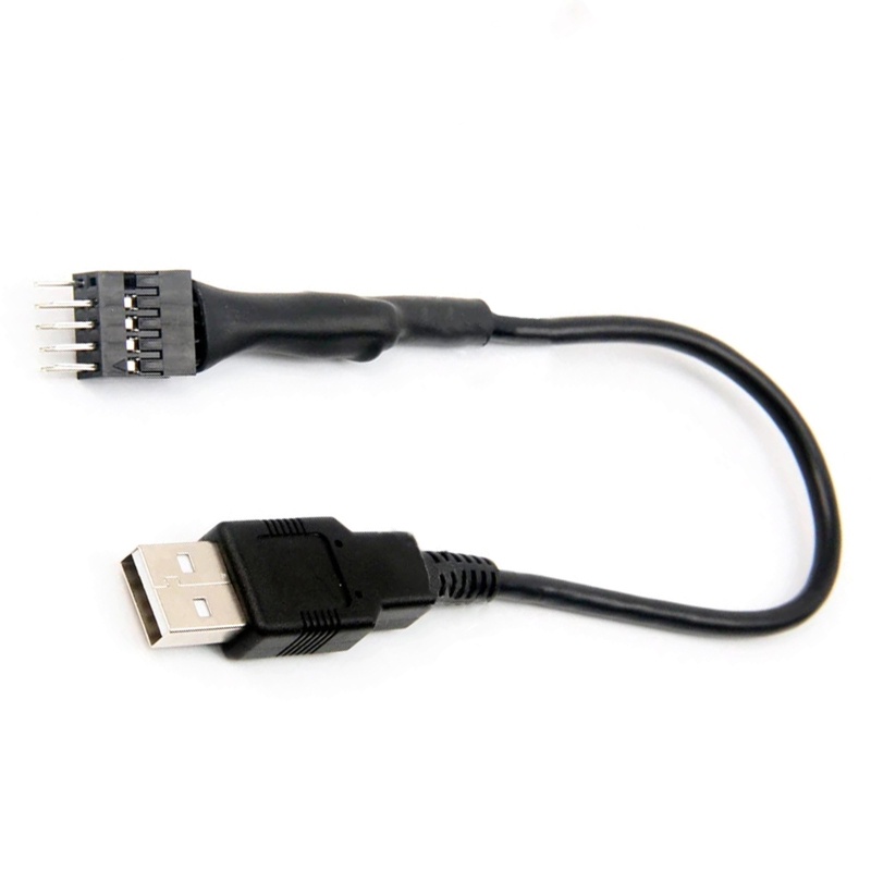 Btsg Kabel Adapter USB 9-Pin Male Ke Single USB Tipe A Male