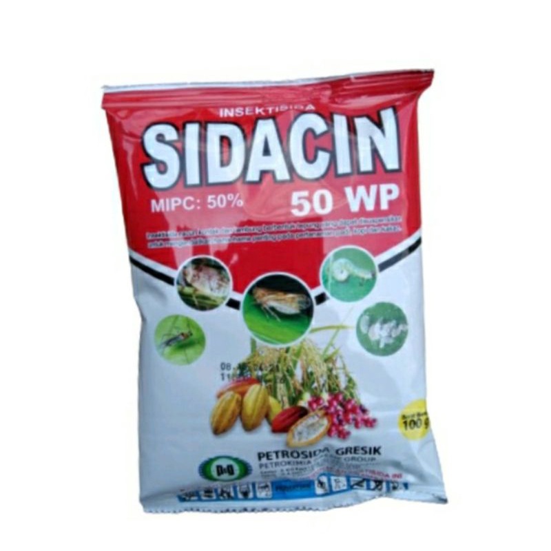 Sidacin 50wp basmi ulat