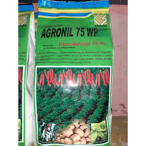 AGRONIL 75 WP FUNGISIDA CABAI